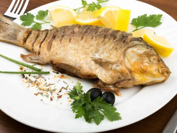 Fish