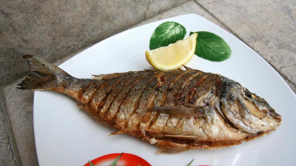 Fish