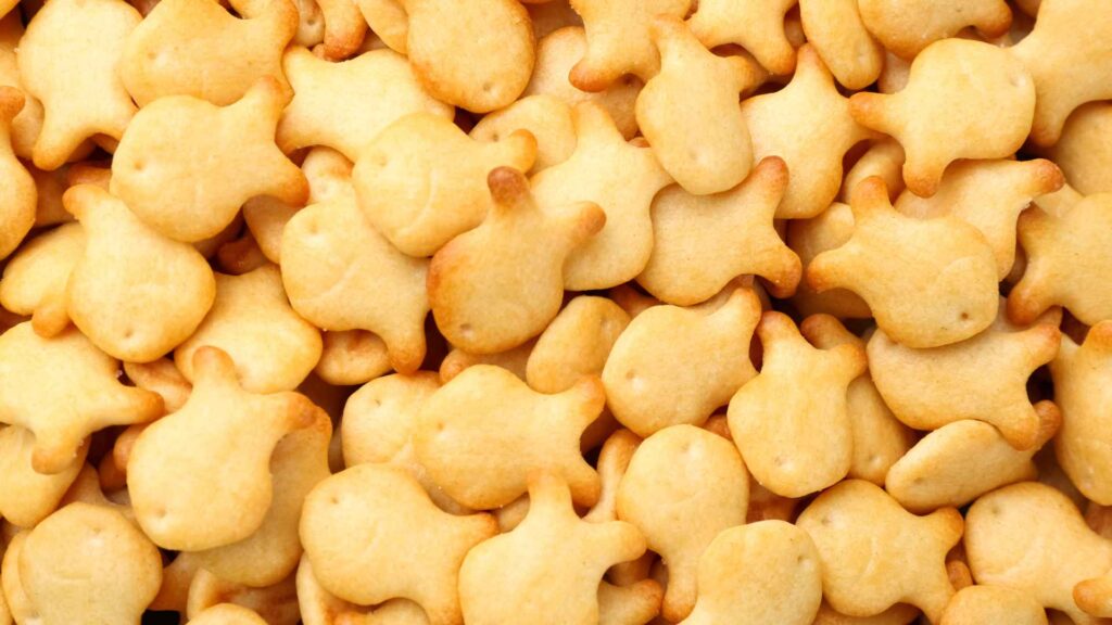 Goldfish