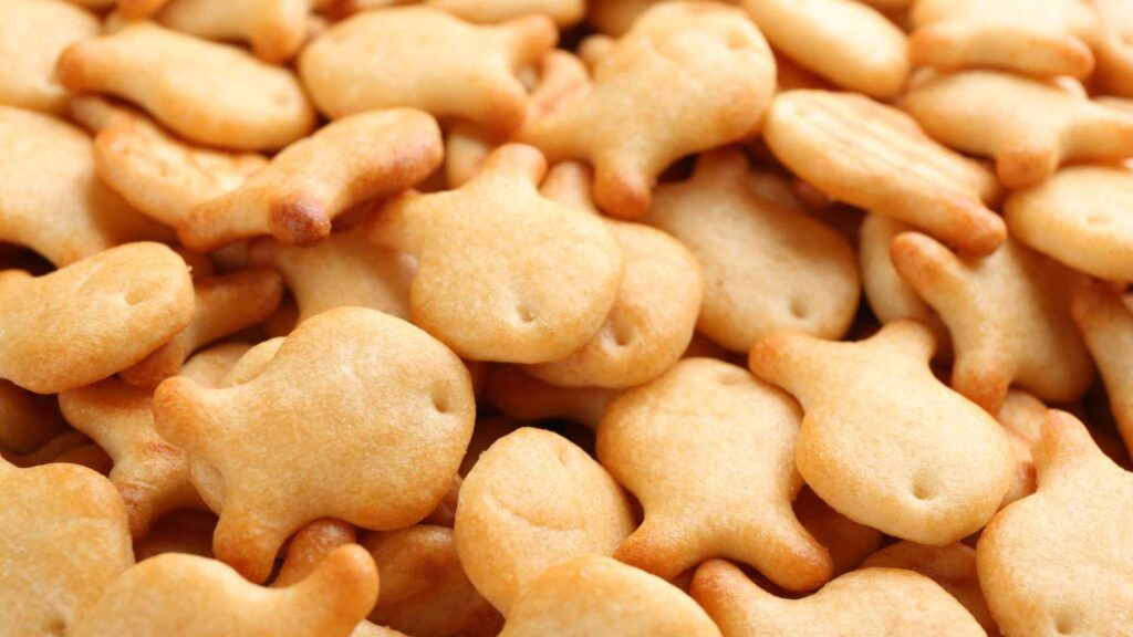 Goldfish