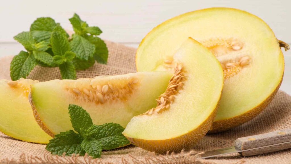 Honeydew
