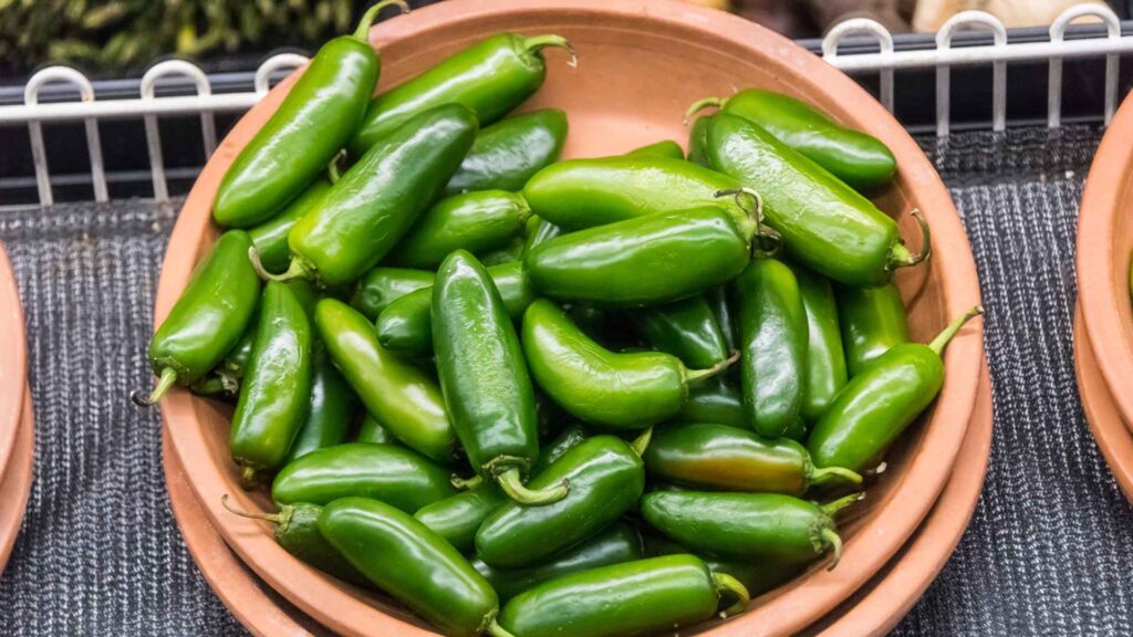 can dogs have Jalapeños