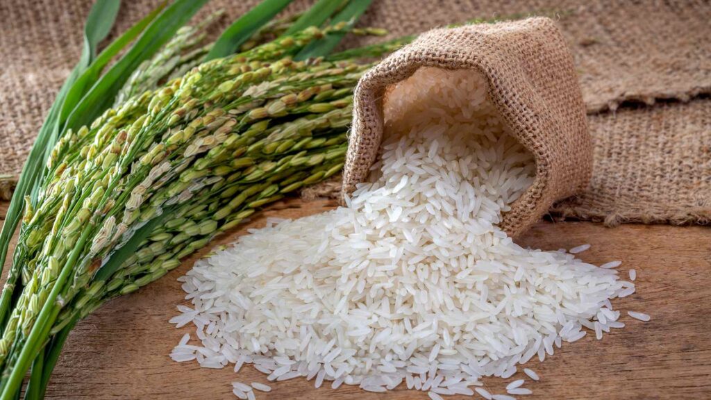 Jasmine Rice
