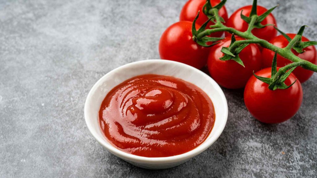 can dogs have Ketchup