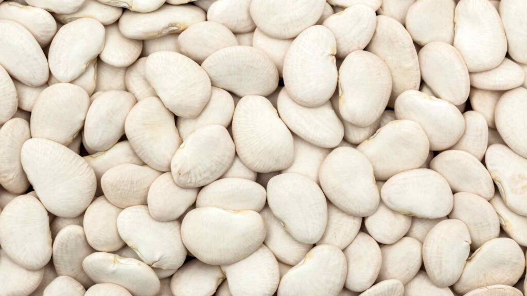 Lima Beans