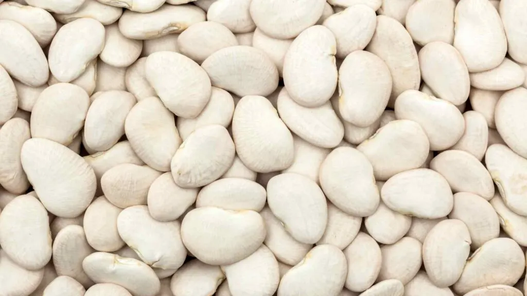 Lima Beans