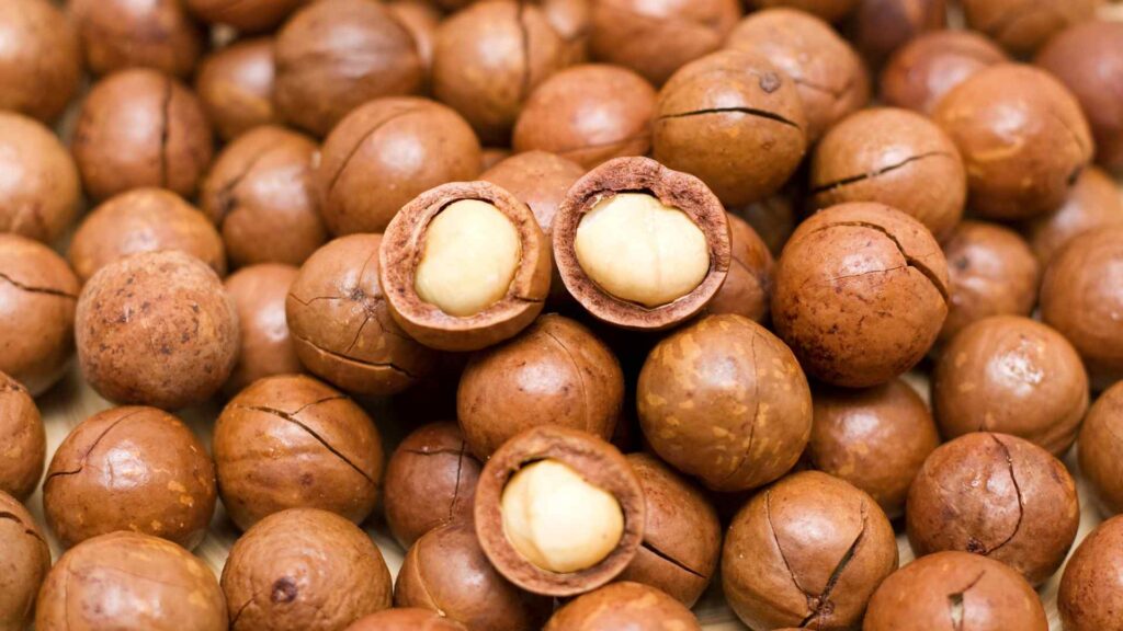 Macadamia Nuts