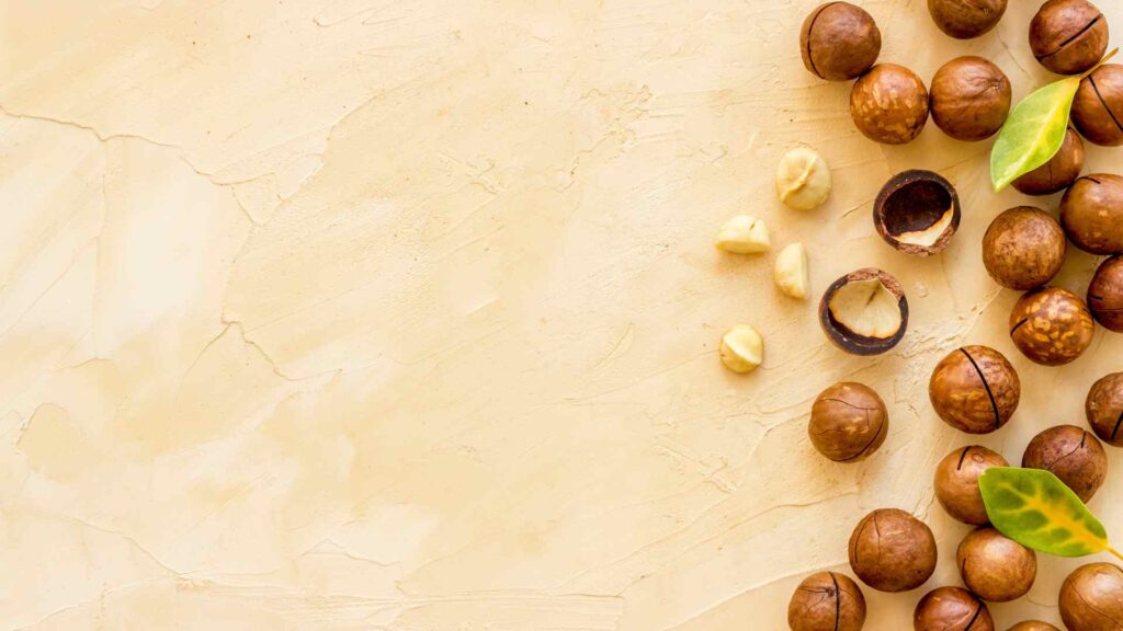 Macadamia Nuts