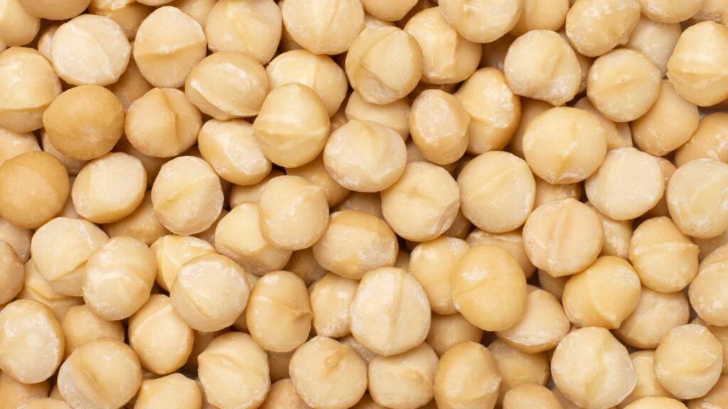 Macadamia Nuts