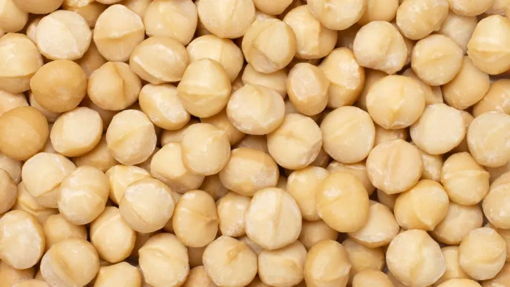 Macadamia Nuts