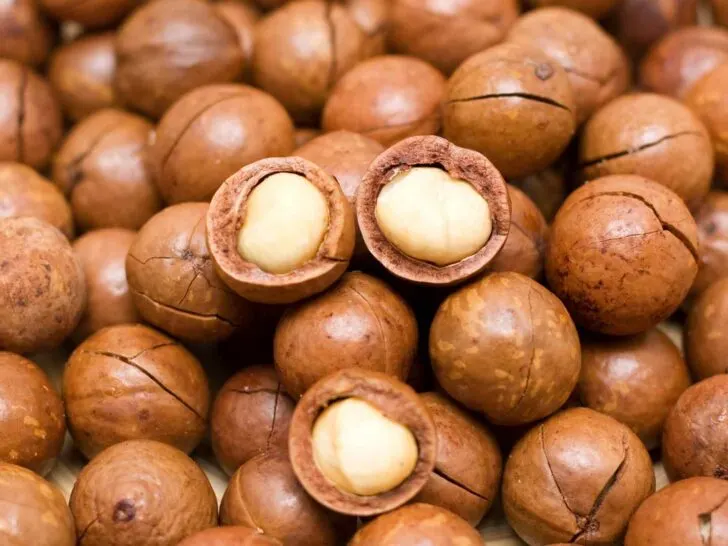 Macadamia Nuts