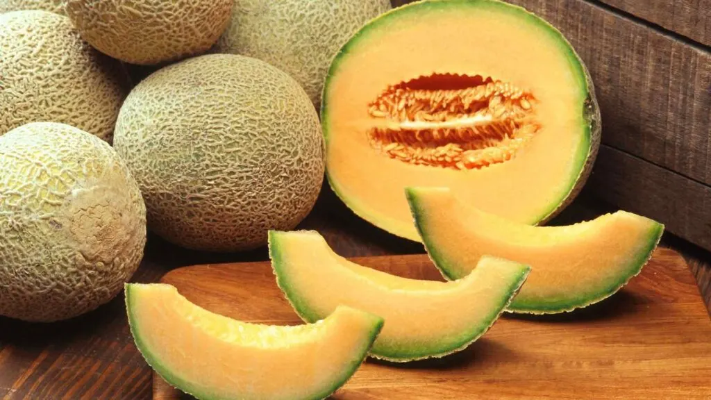Melon
