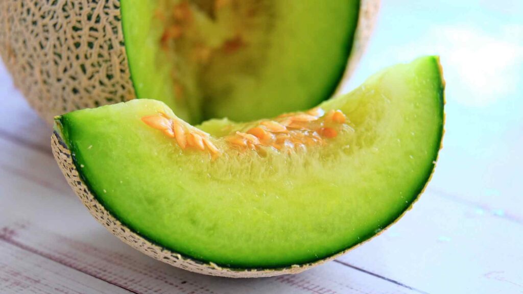Melon