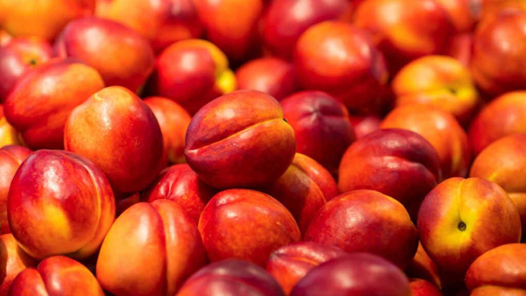 Nectarines