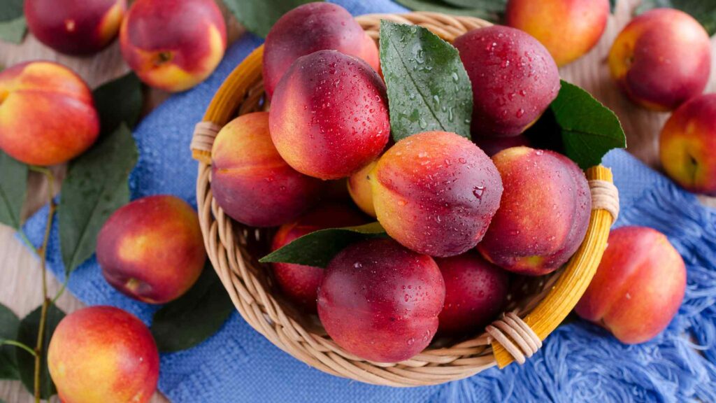 Nectarines