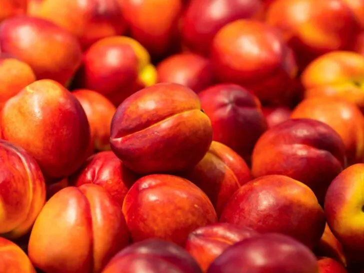 Nectarines