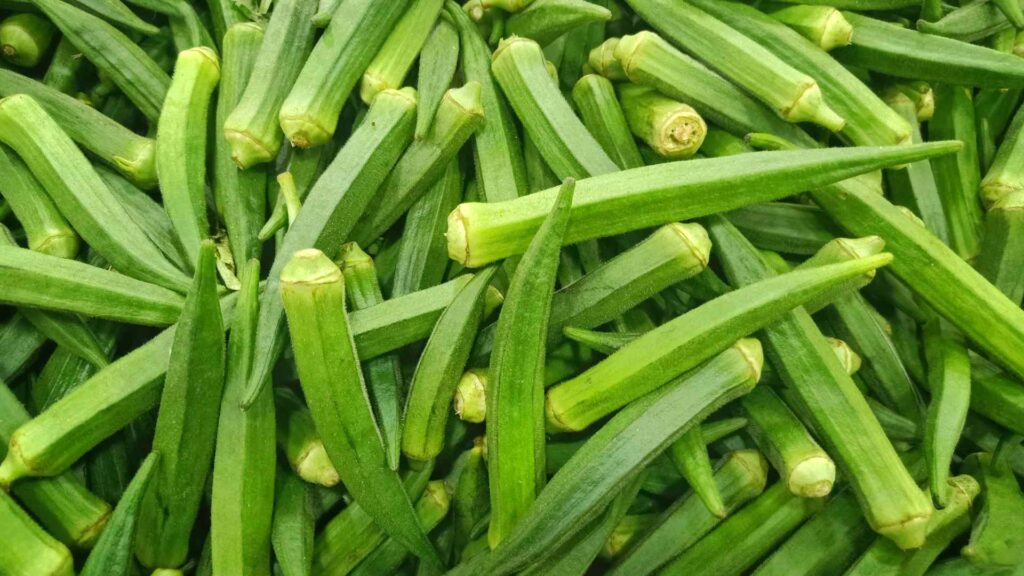 Okra