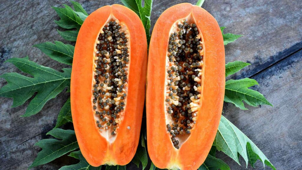 Papaya
