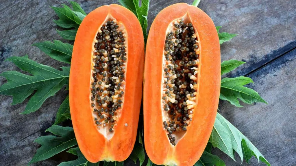 Papaya