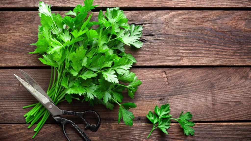Parsley