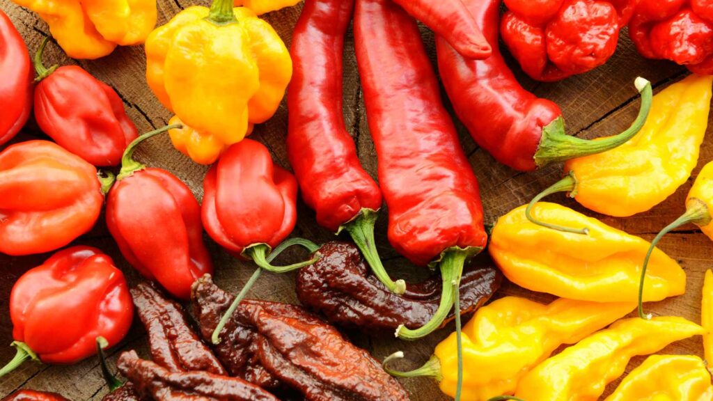 Peppers