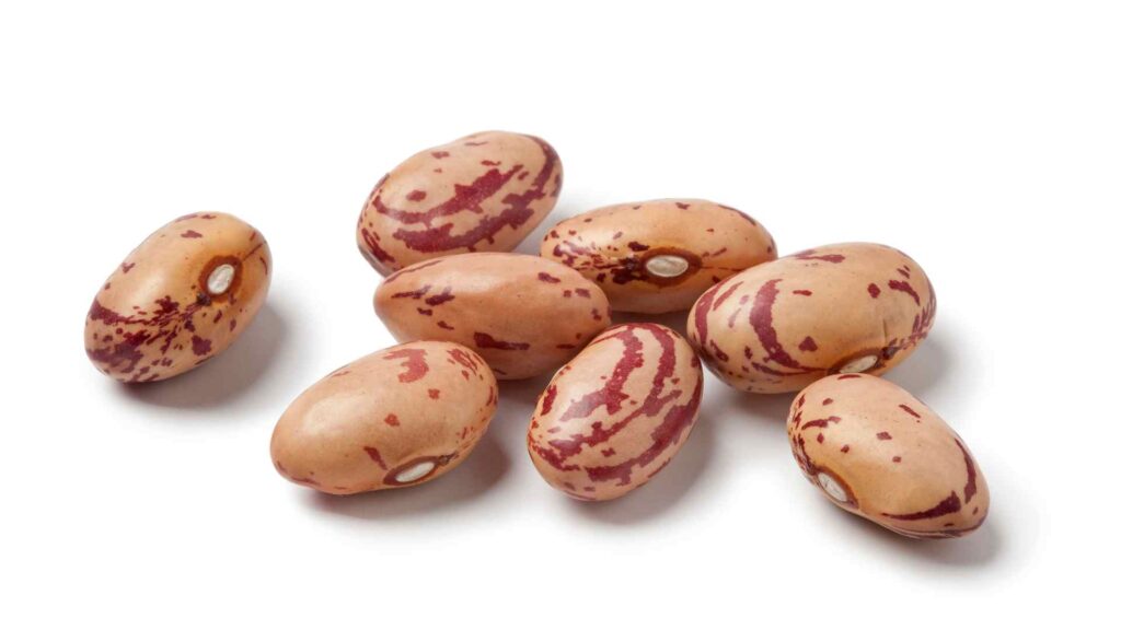 Pinto Beans