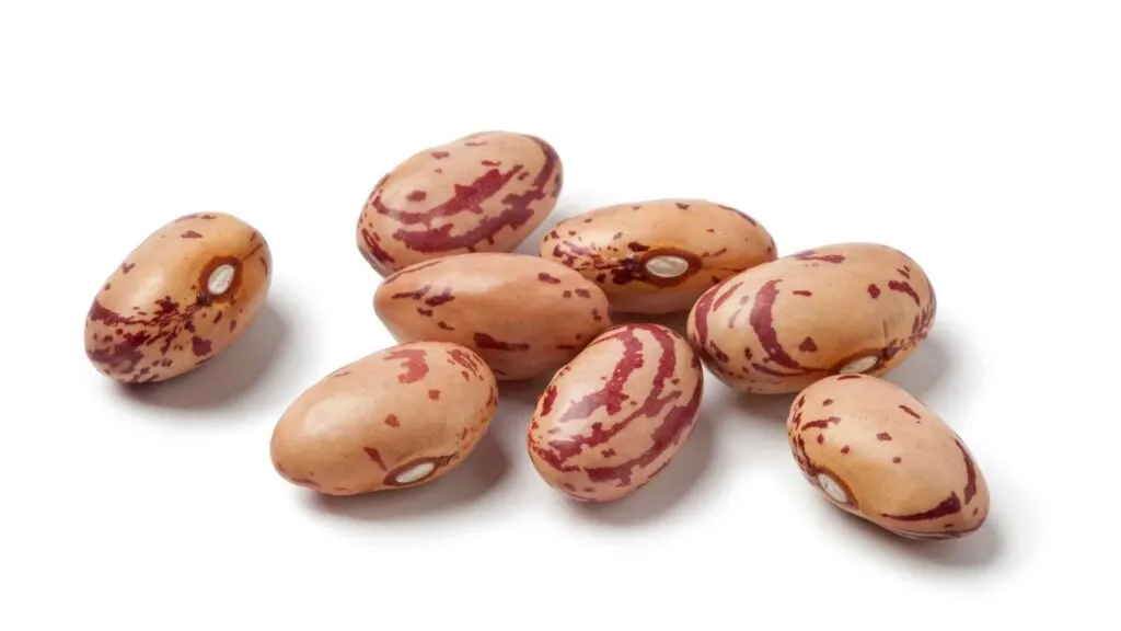 Pinto Beans