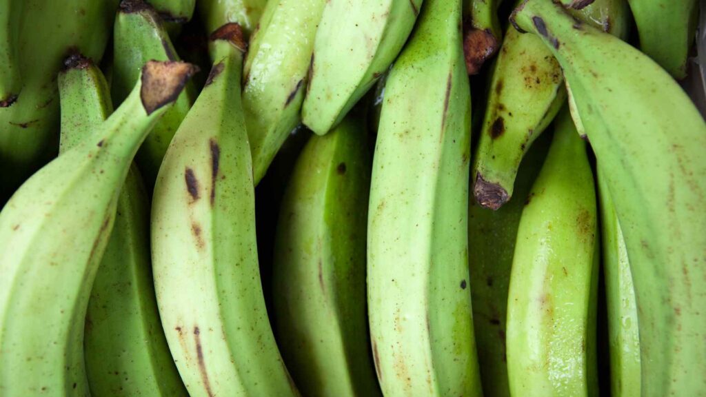 Plantains