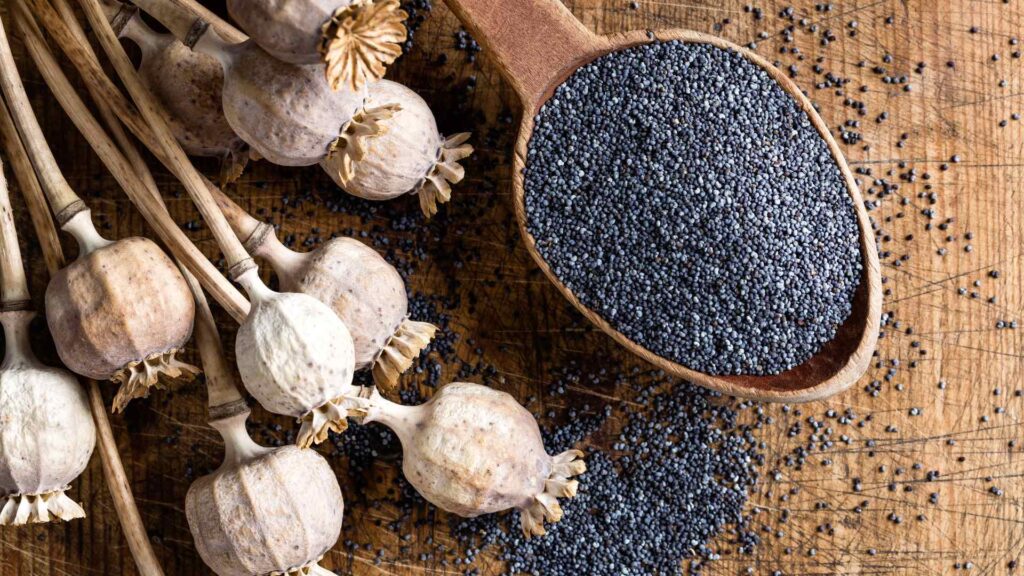 Poppy Seeds