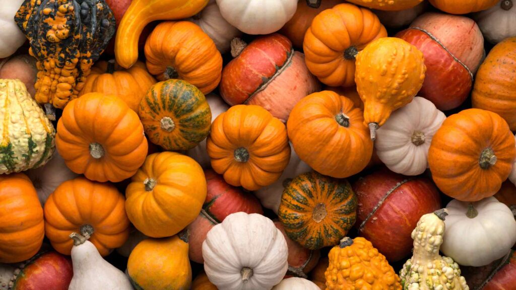Pumpkin