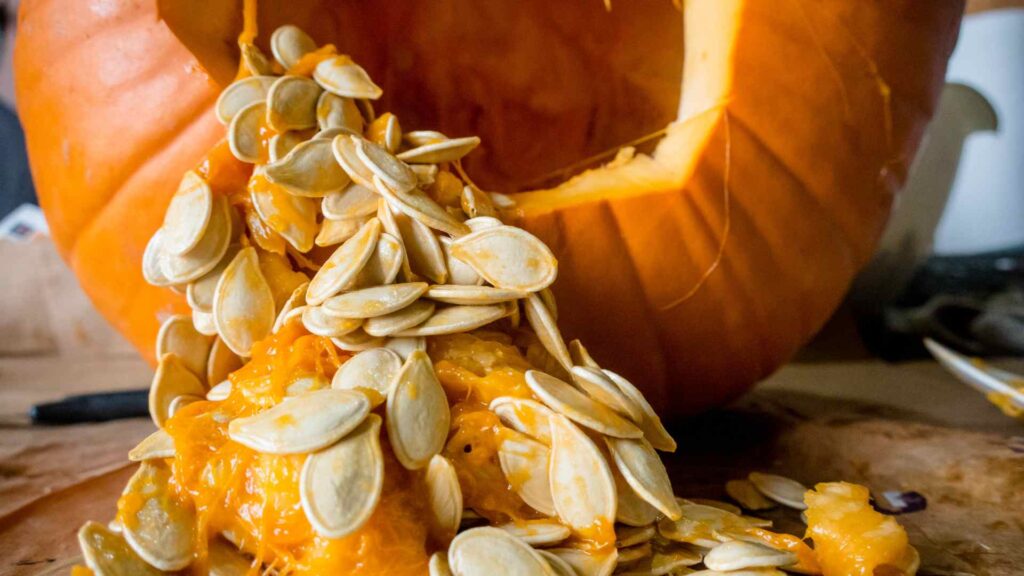 Pumpkin Seeds