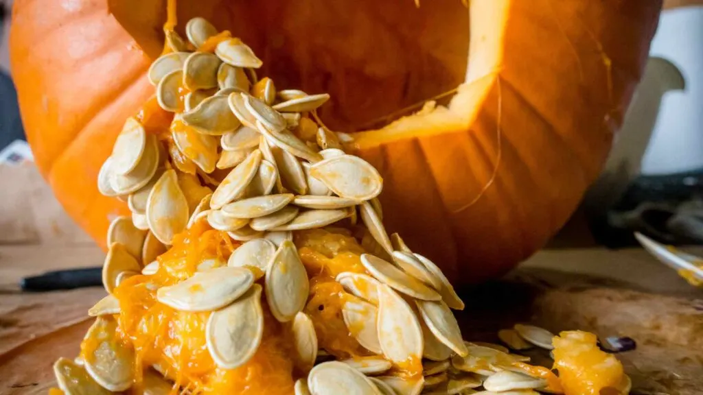 Pumpkin Seeds