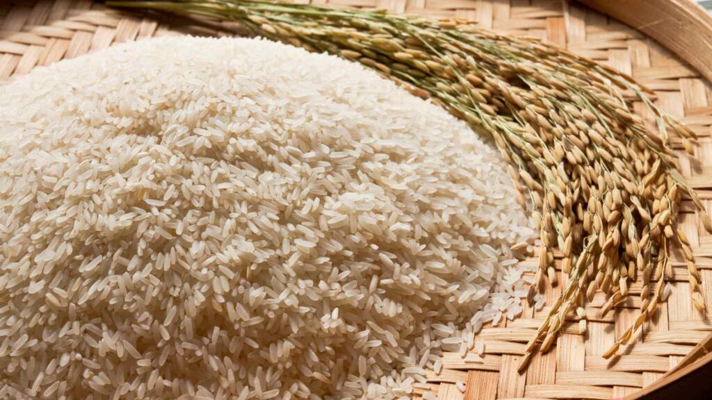 Rice