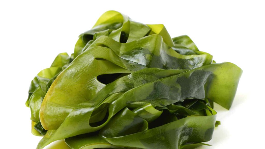 Seaweed