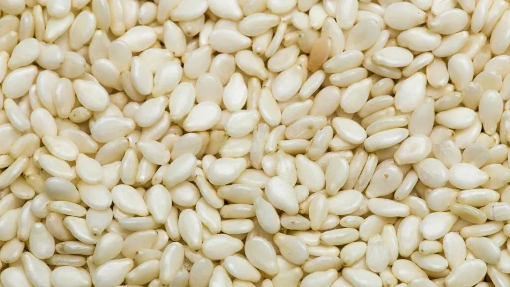 Sesame Seeds