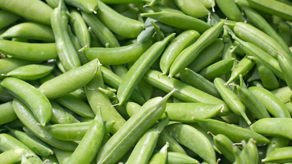 Snap peas