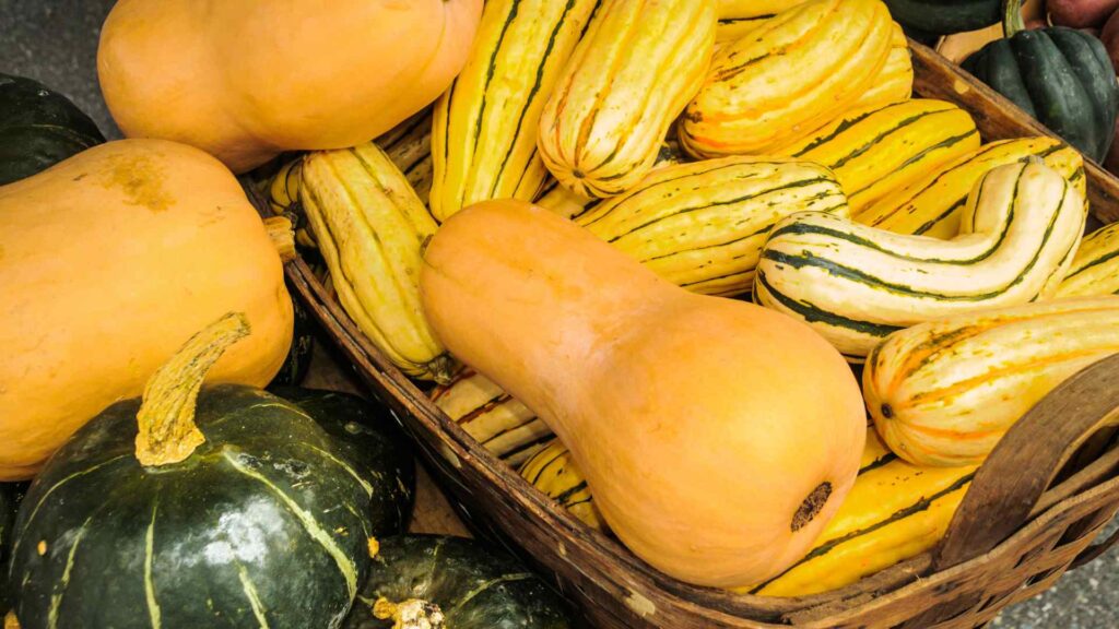 Squash