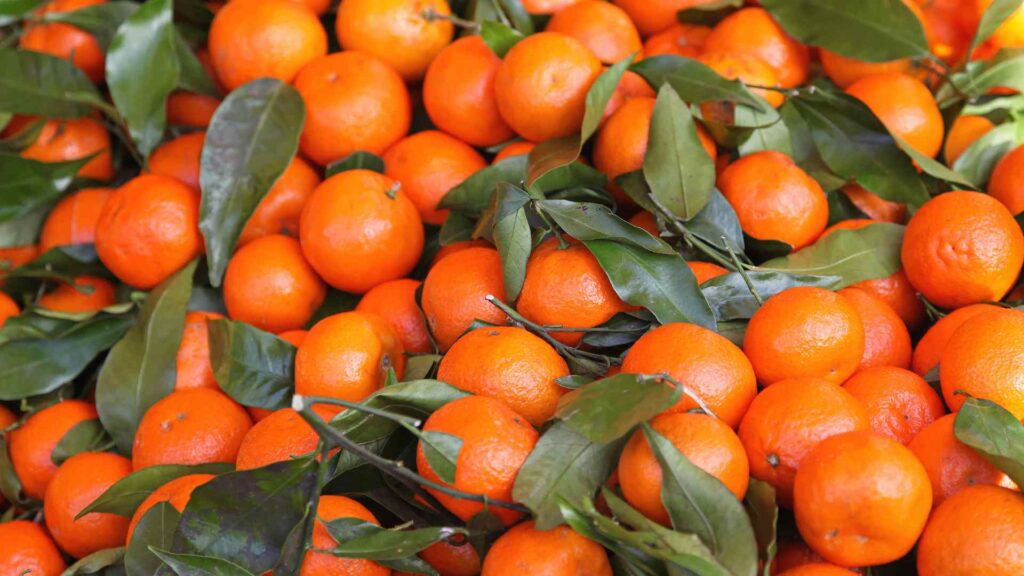 Tangerines