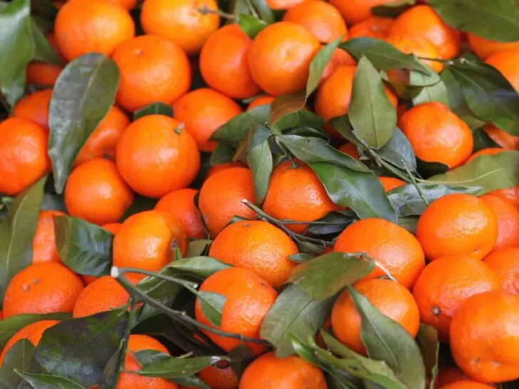 Tangerines