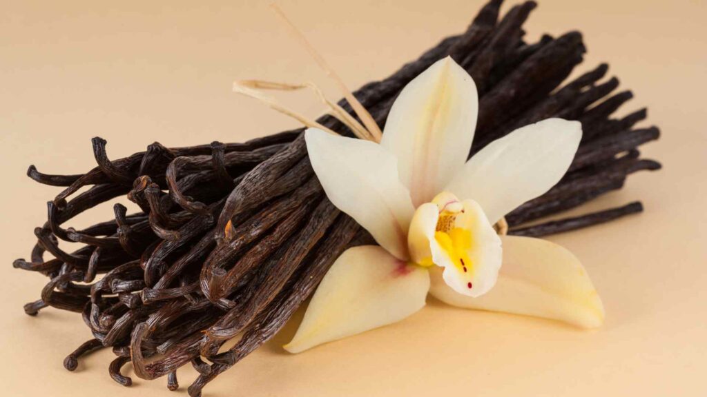 Vanilla
