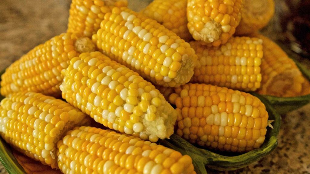 corn on the cob