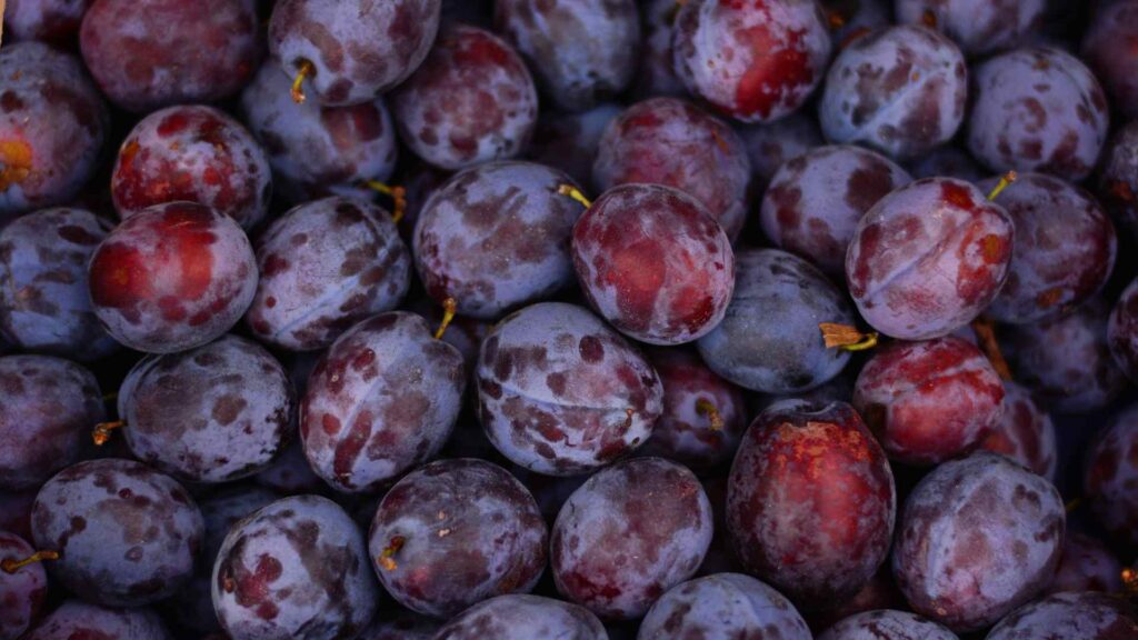 plum