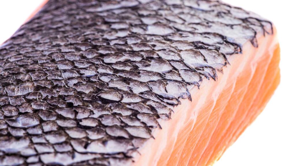 salmon skin
