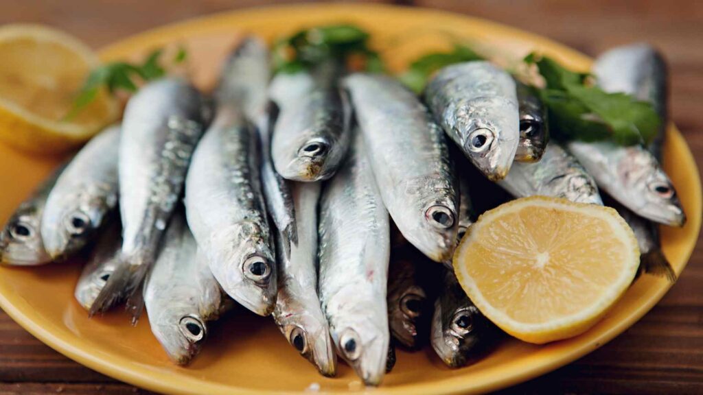 sardines