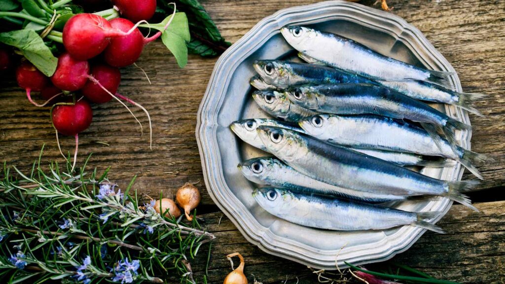 sardines