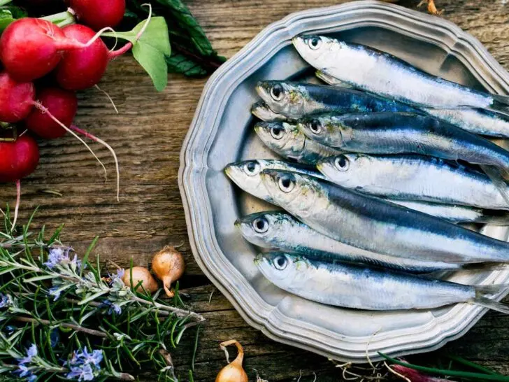 sardines