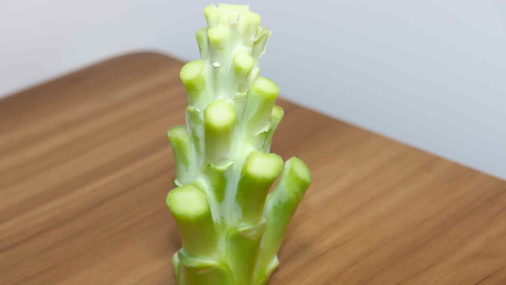 Broccoli Stems