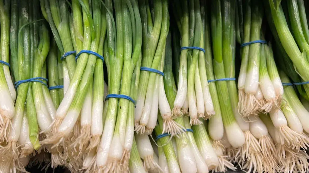 Green Onions
