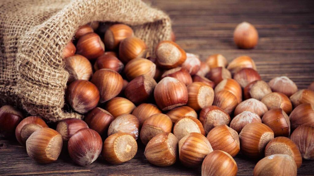 Hazelnuts