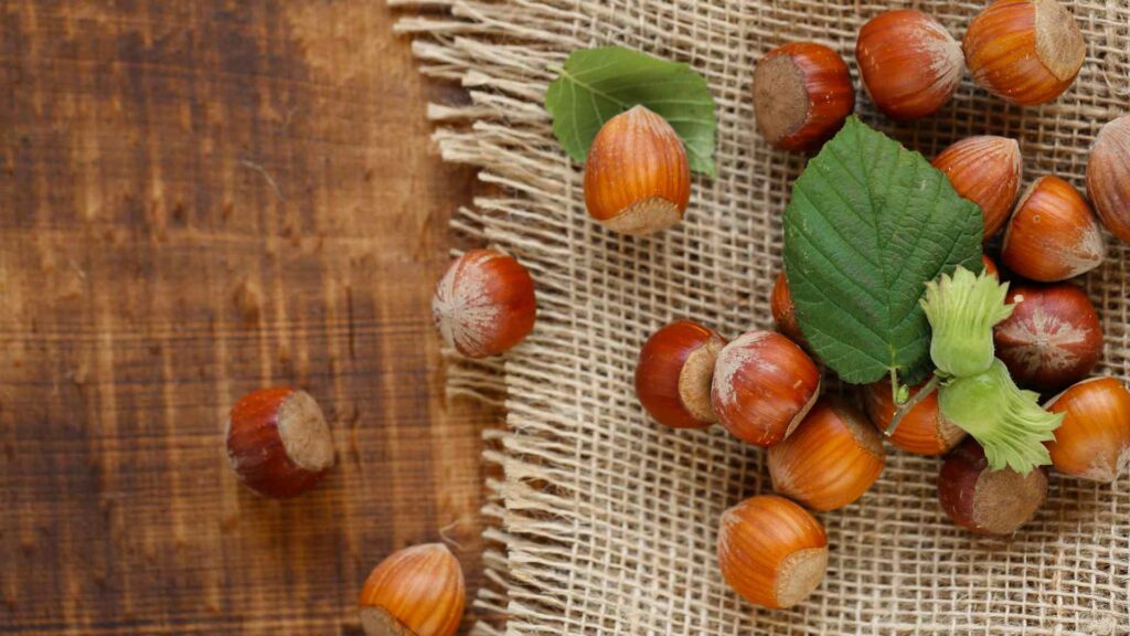 Hazelnuts